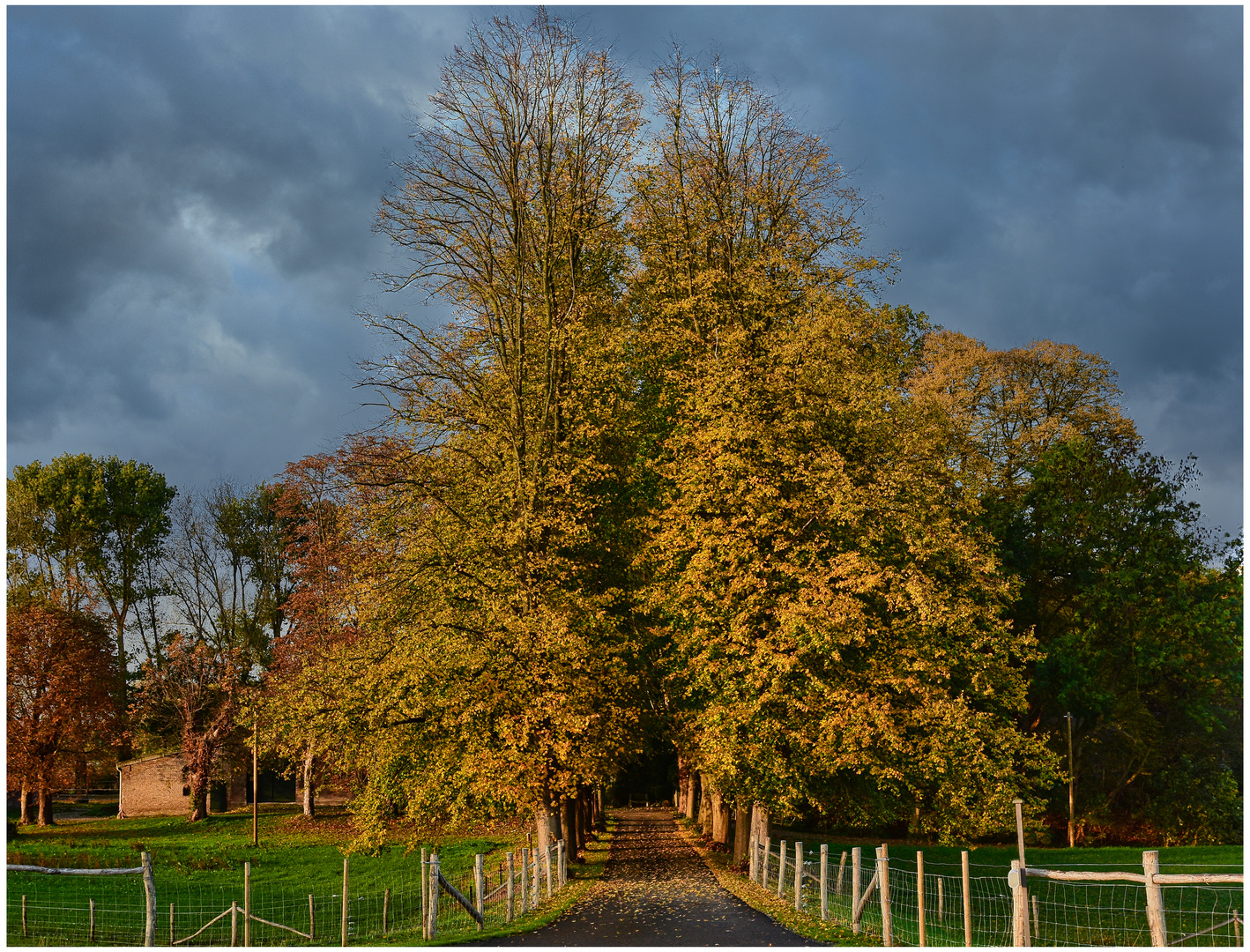 Herbstfreuden