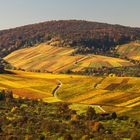 Herbstfreuden