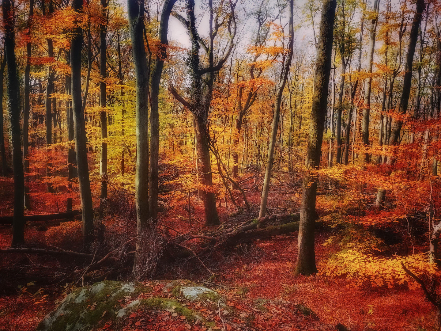 Herbstfreuden