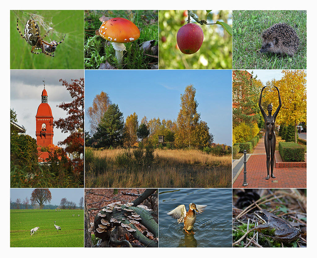 Herbstfreuden