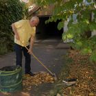 Herbstfreuden