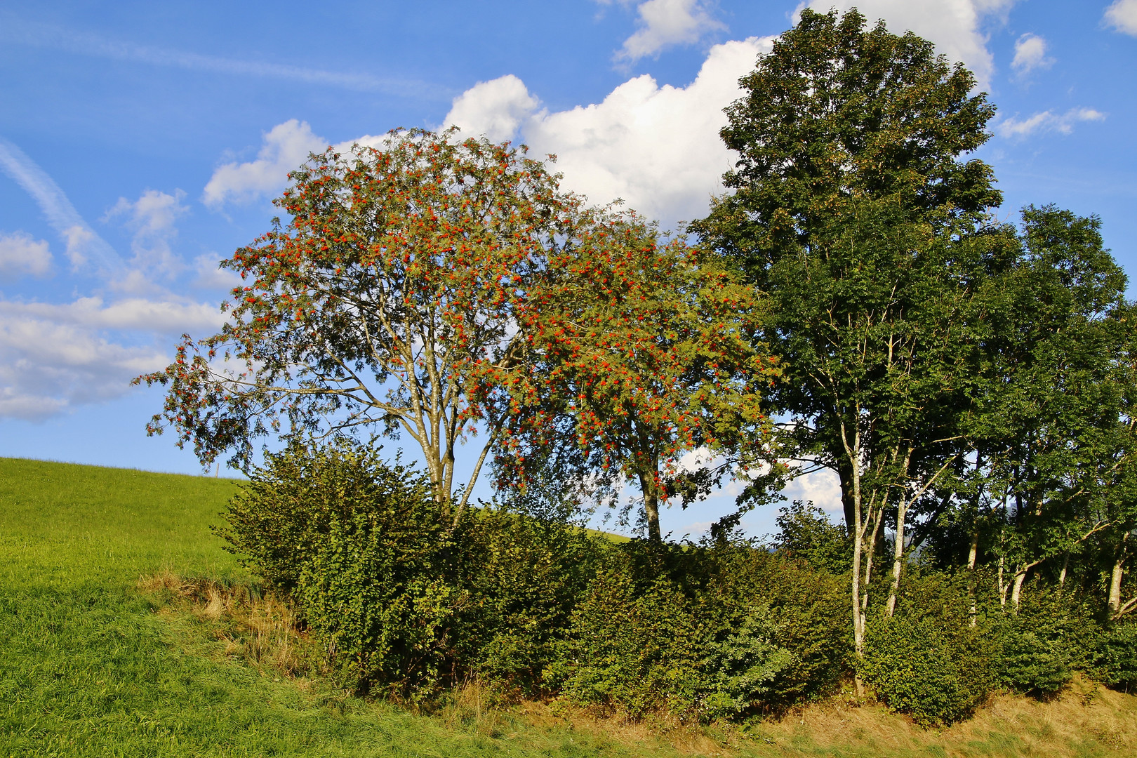 Herbstfreuden