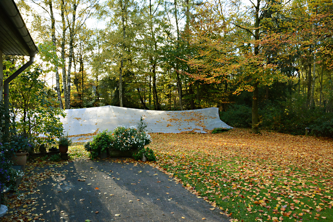 Herbstfreuden