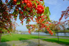 Herbstfreuden