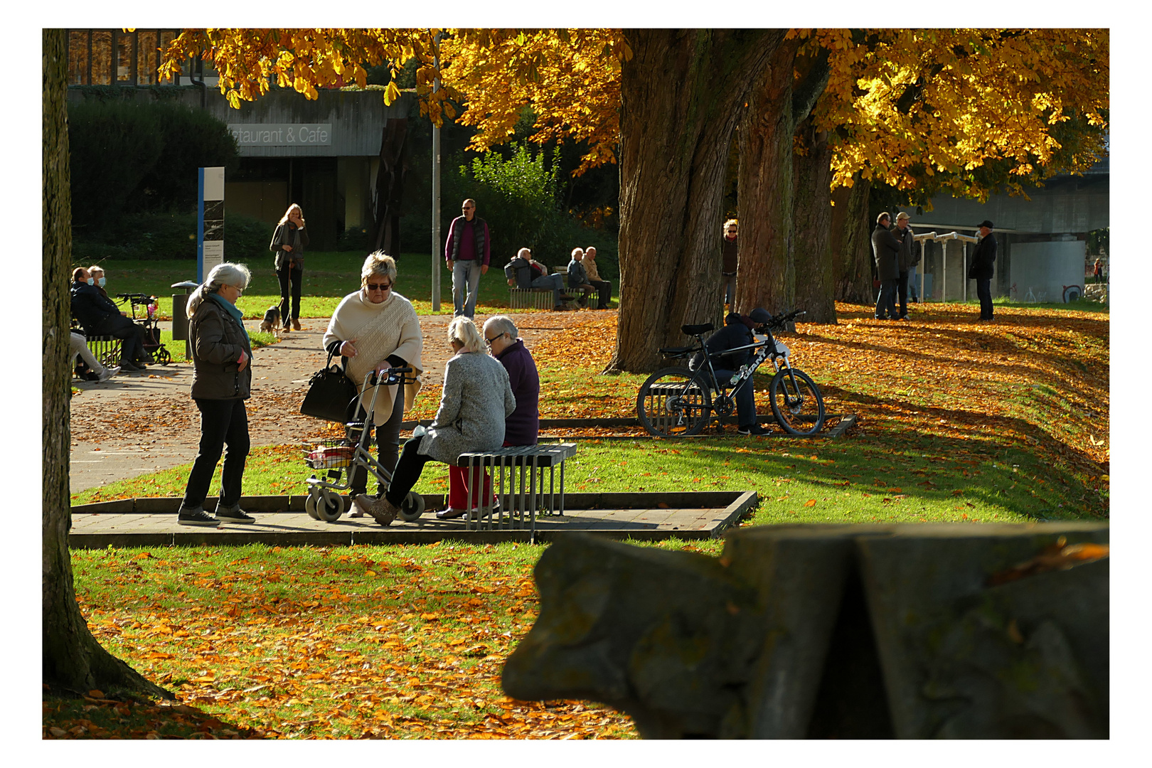 Herbstfreuden