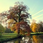 Herbstfreuden Herbsttrauer