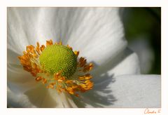 Herbstfreuden I