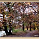 Herbstfreuden  (mit Gedicht)