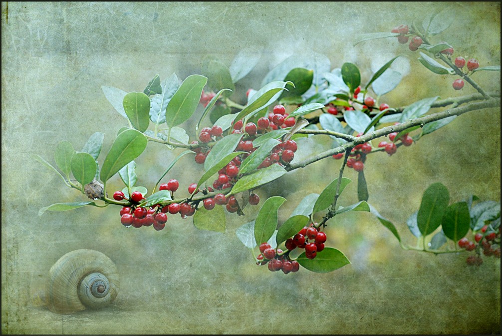 - Herbstfrüchtchen -