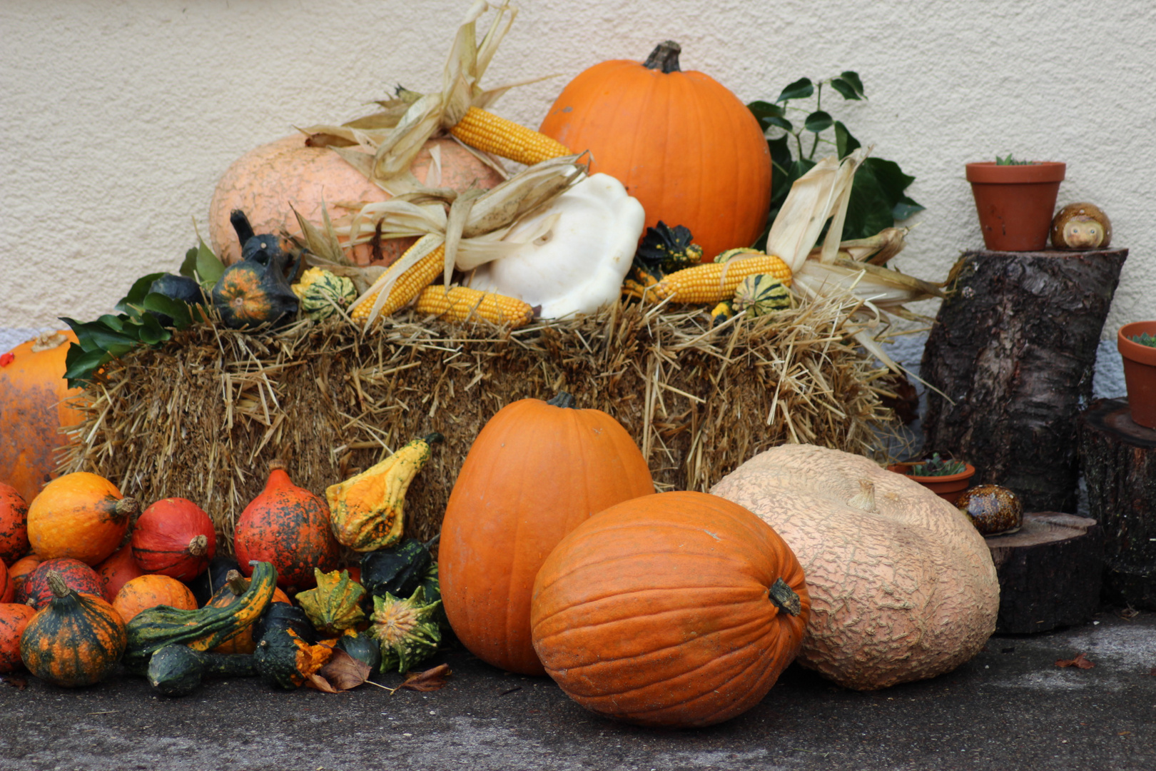 Herbstfrüchte