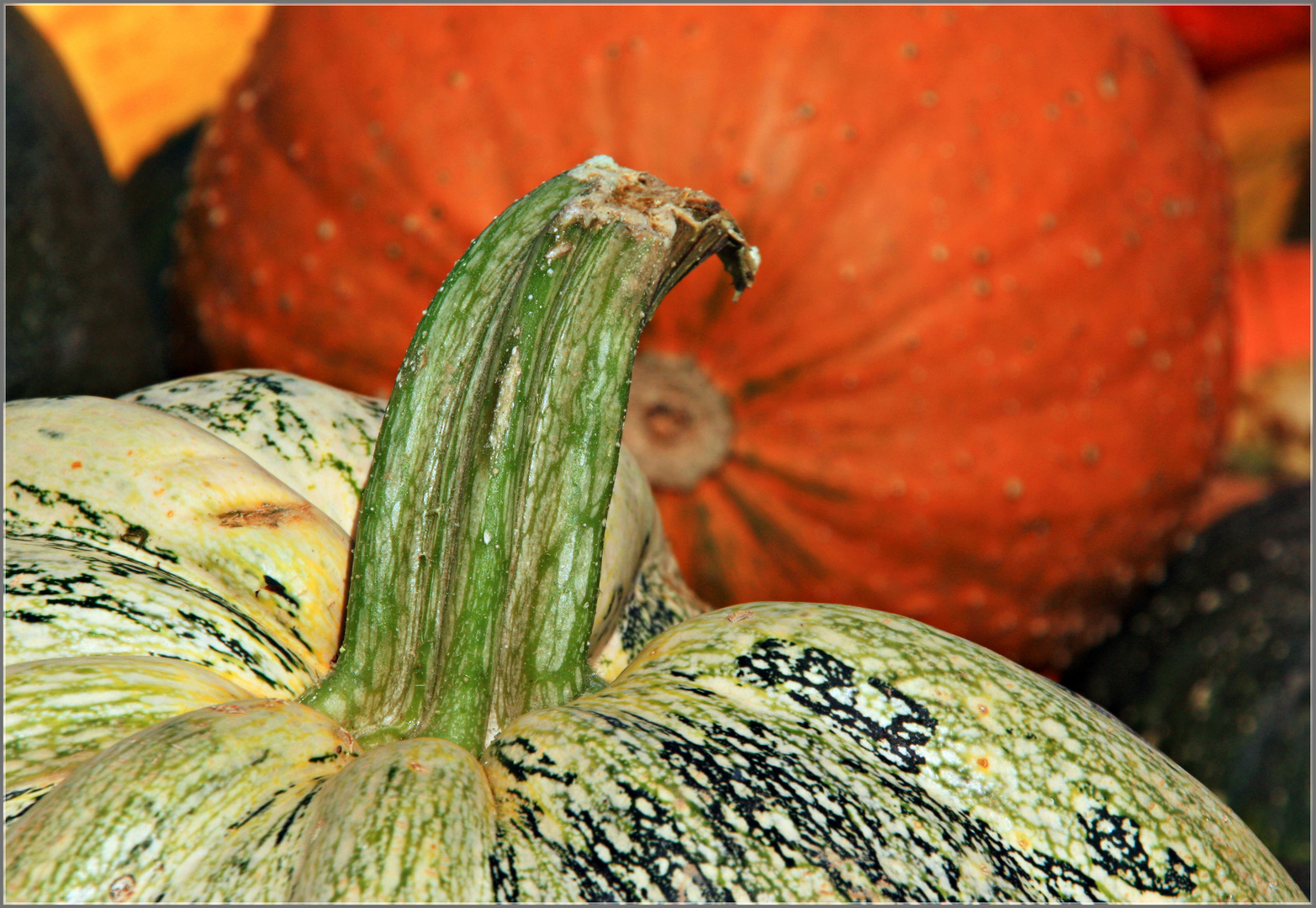 Herbstfrüchte