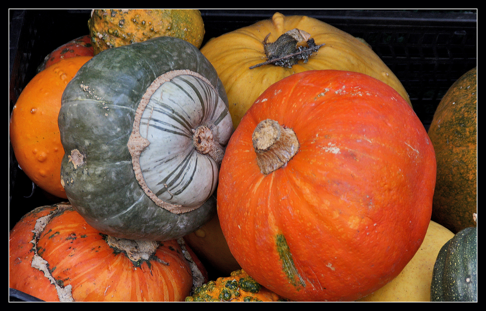 Herbstfrüchte....