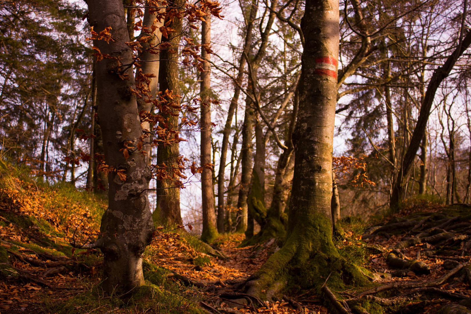 Herbstfrühlingsstimmung