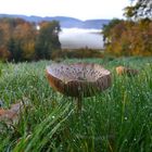 Herbstfunken auf des Berges Rücken.