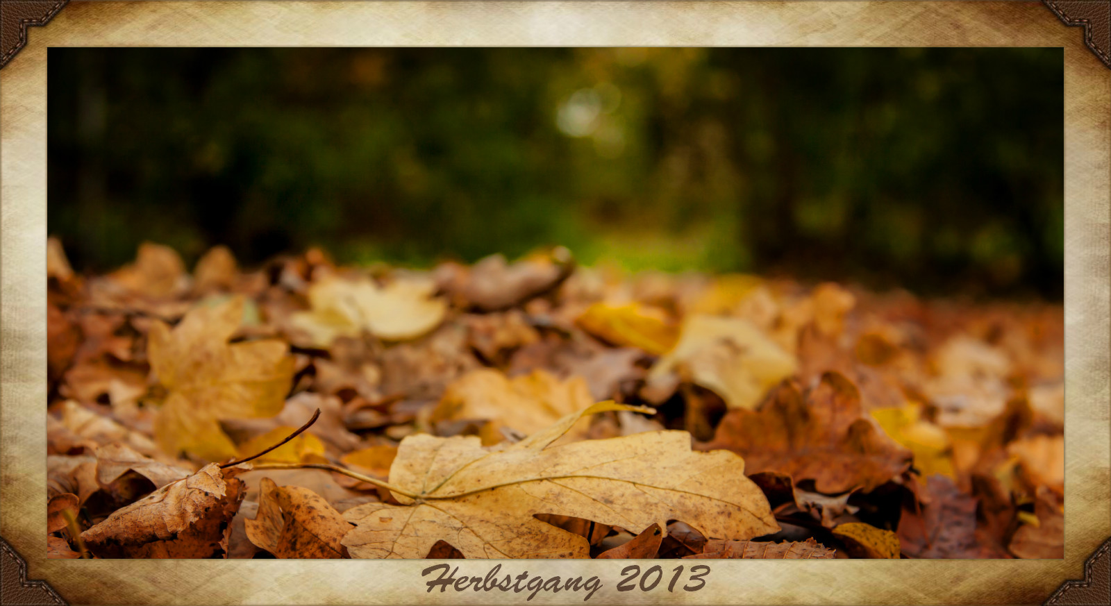 Herbstgang