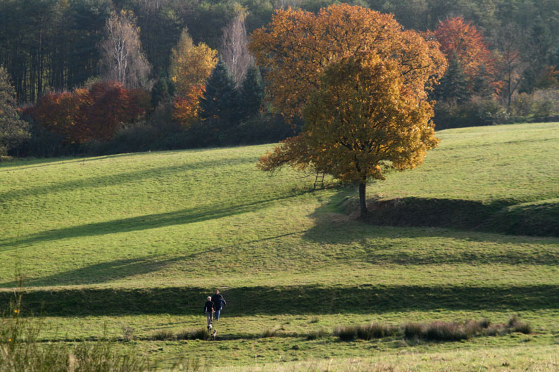 herbstgang