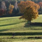 herbstgang