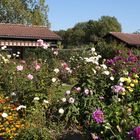 Herbstgarten