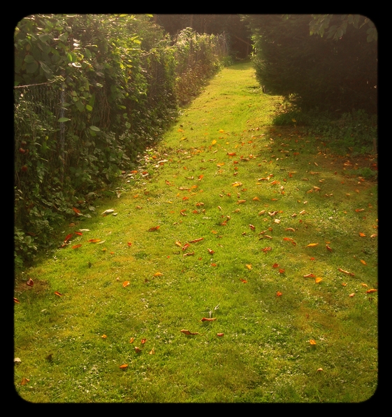 Herbstgarten