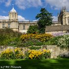 Herbstgarten in Oxford