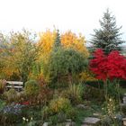 Herbstgarten mit Fächerahorn