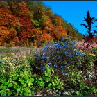 -Herbstgarten- (oder:) "Die Erde ist voll der Herrlichkeit des HERRN" (Bibel)