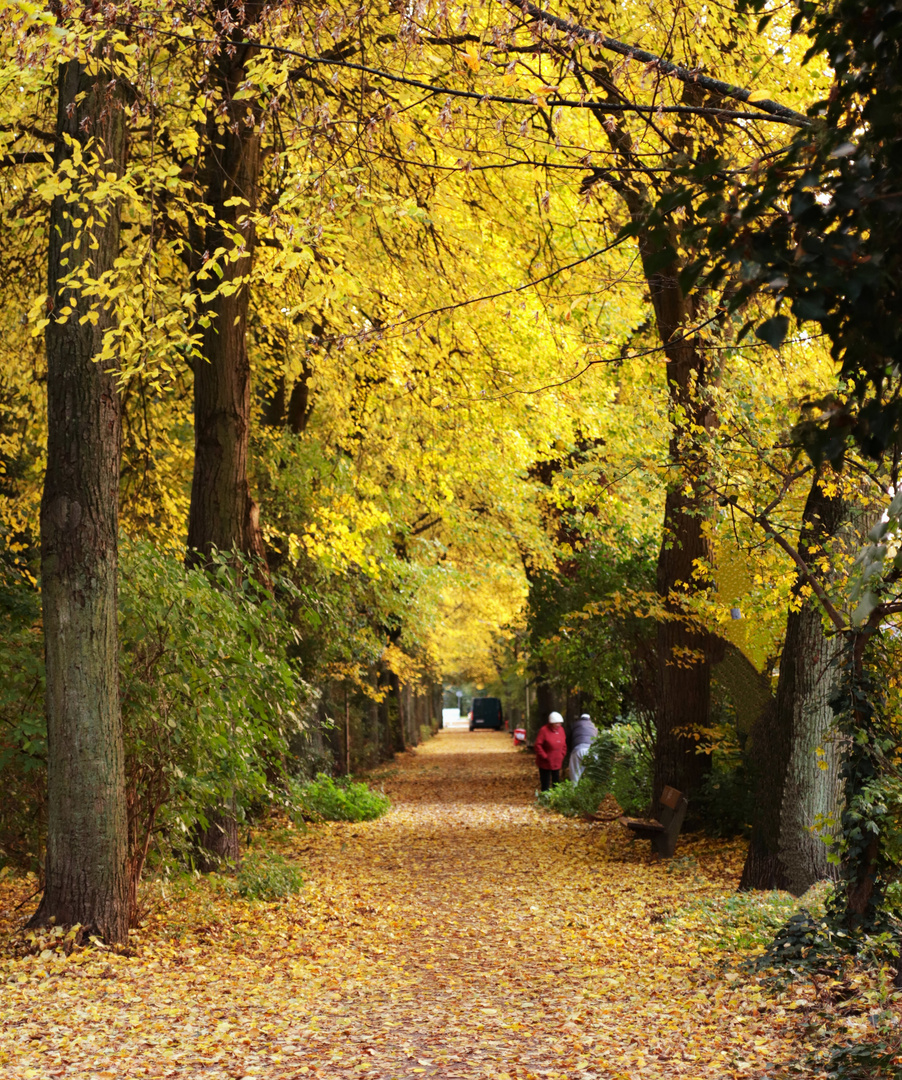 Herbstgasse