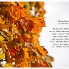 Herbstgedanken