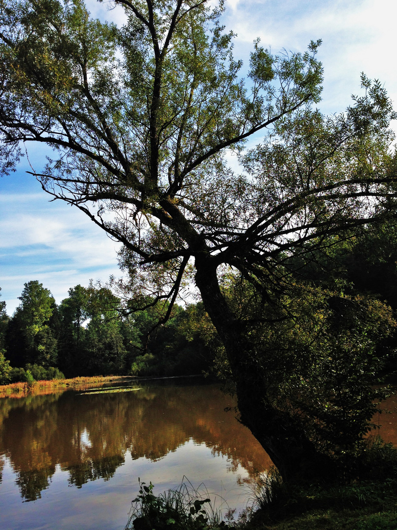 Herbstgedanken 3