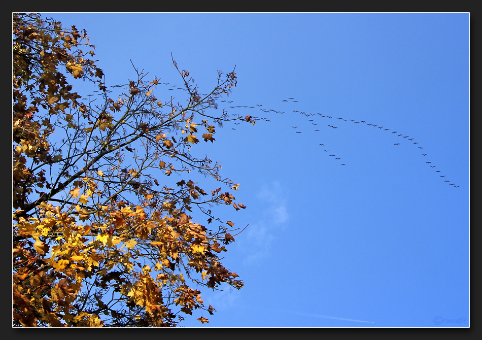 Herbstgedanken