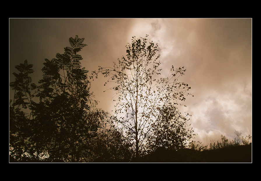 Herbstgedanken