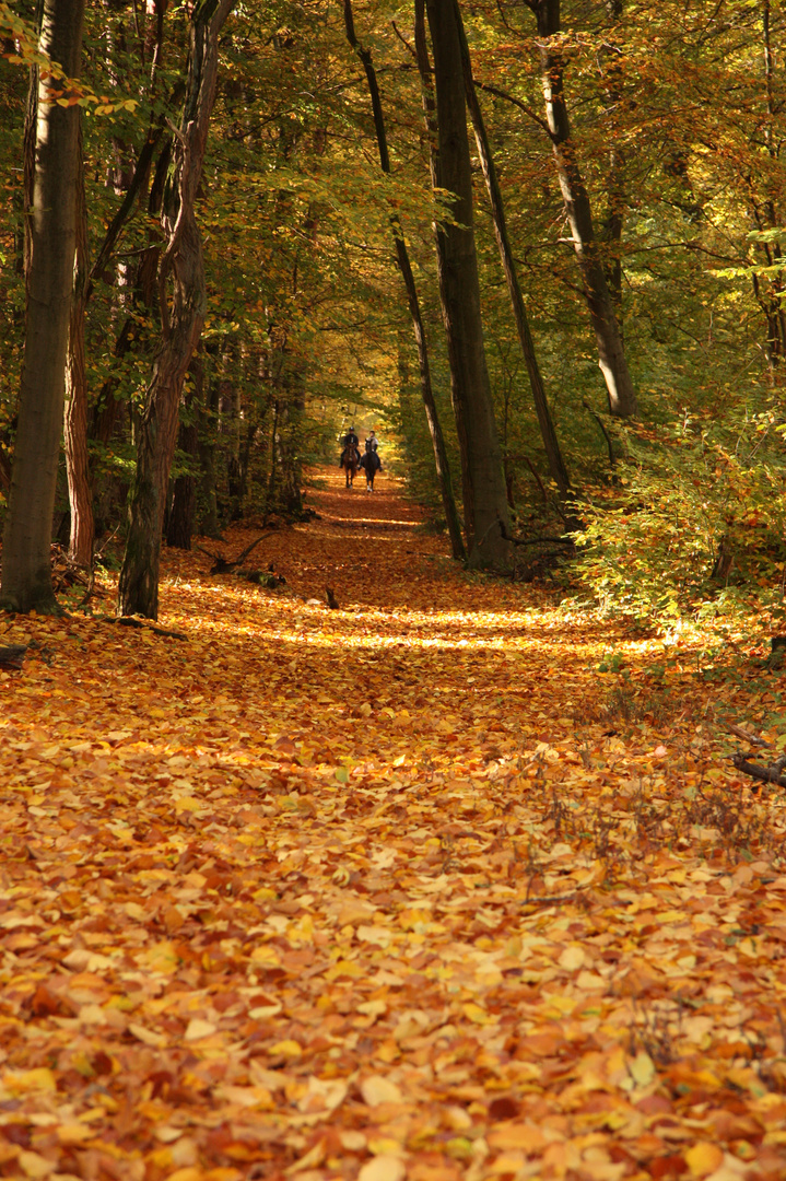 Herbstgedanken