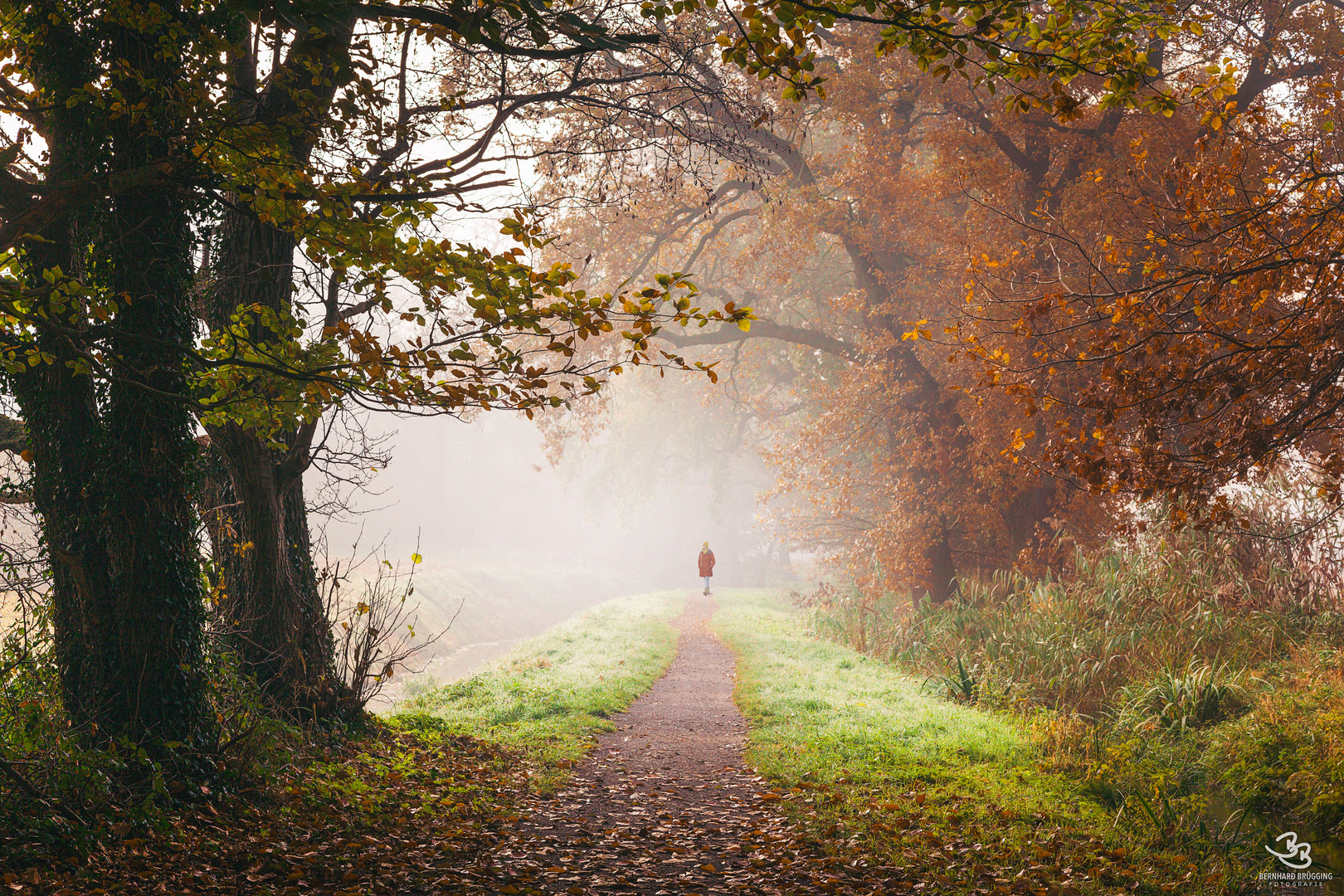 Herbstgedanken