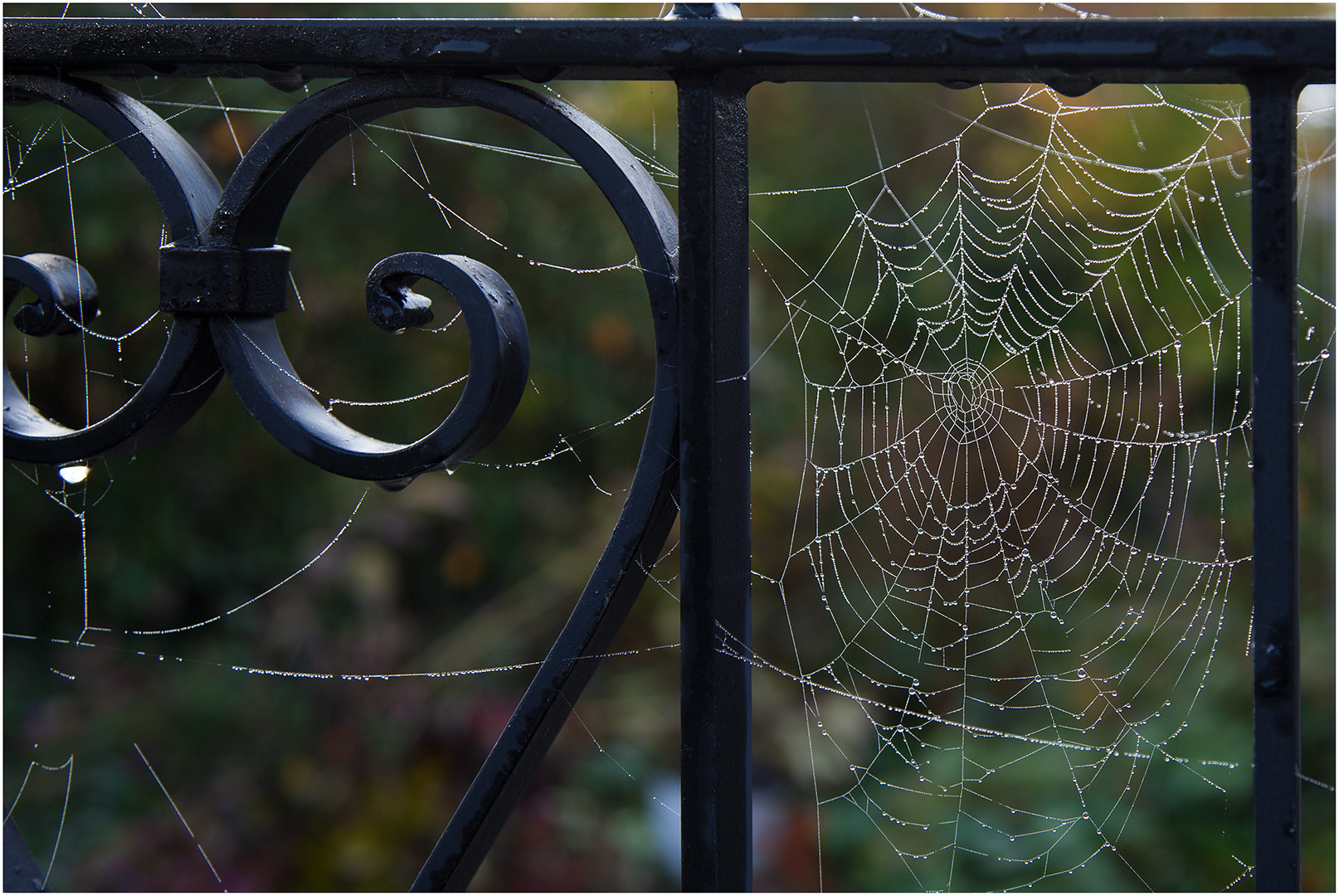 Herbstgedanken