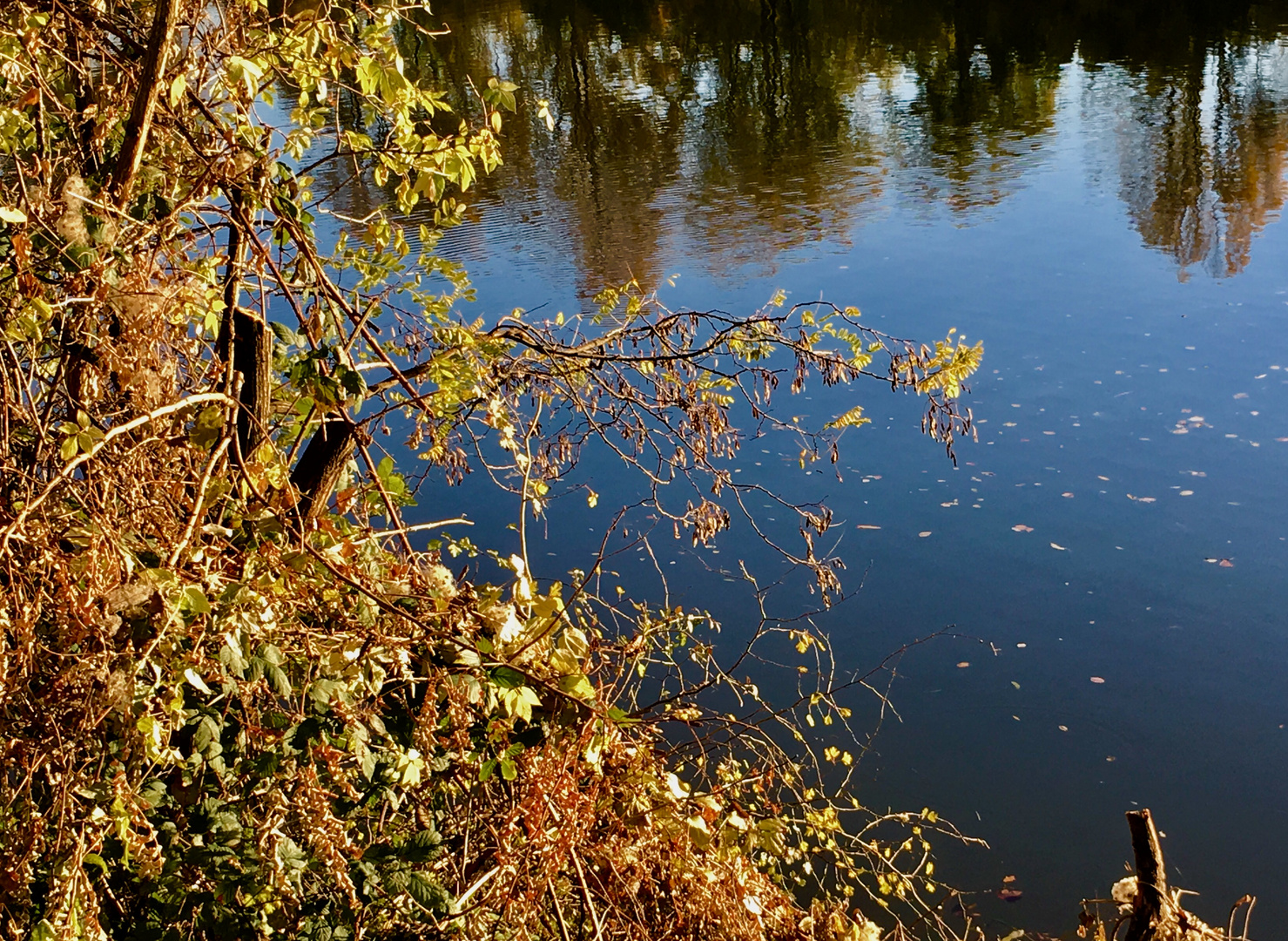 Herbstgedanken