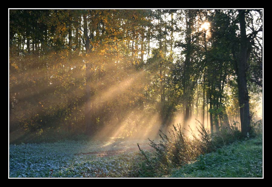 Herbstgedanken II