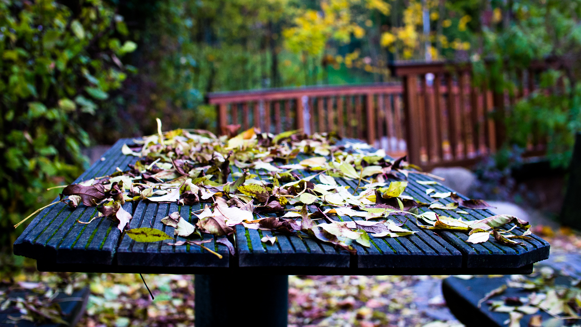 Herbstgedeck