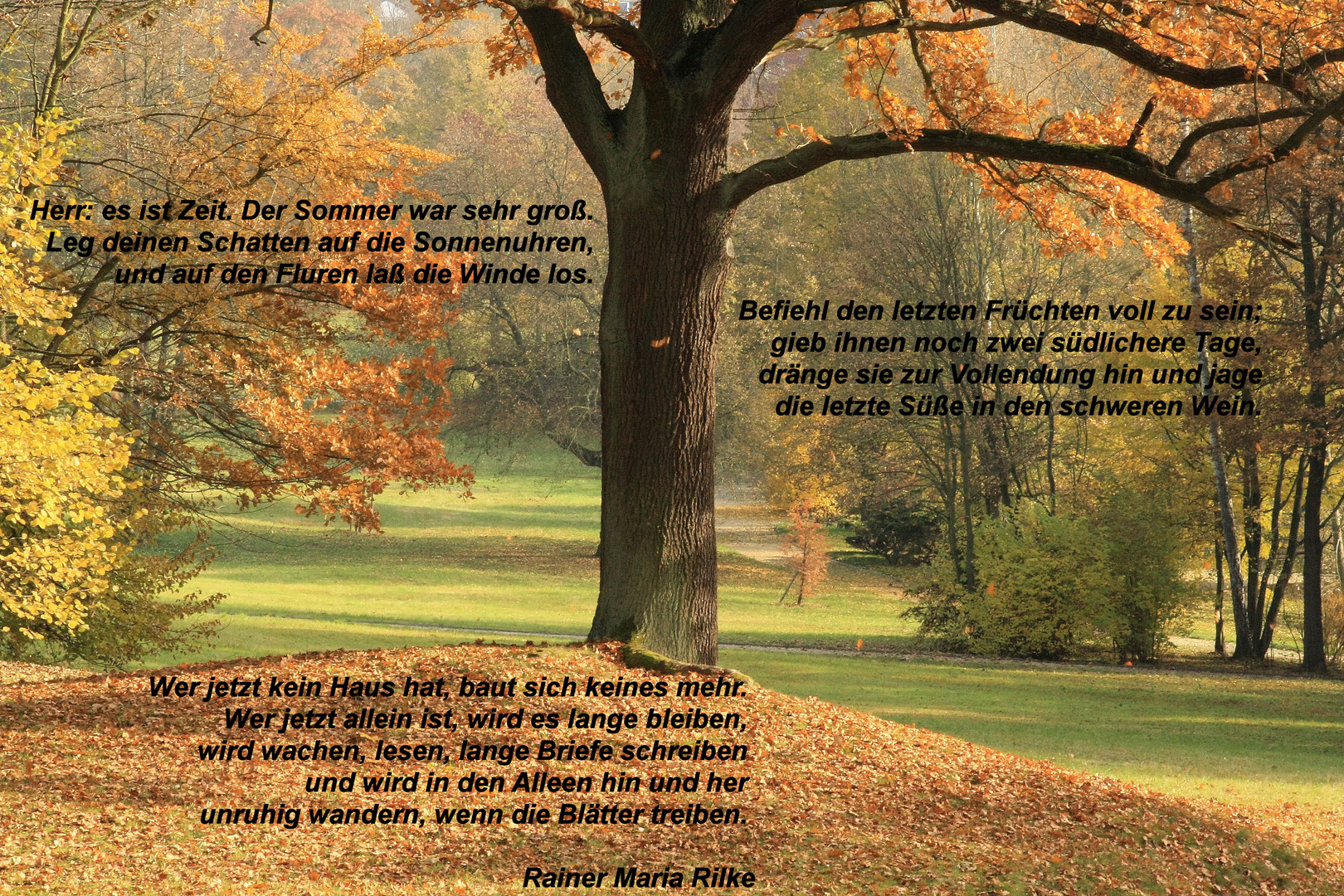 Herbstgedicht