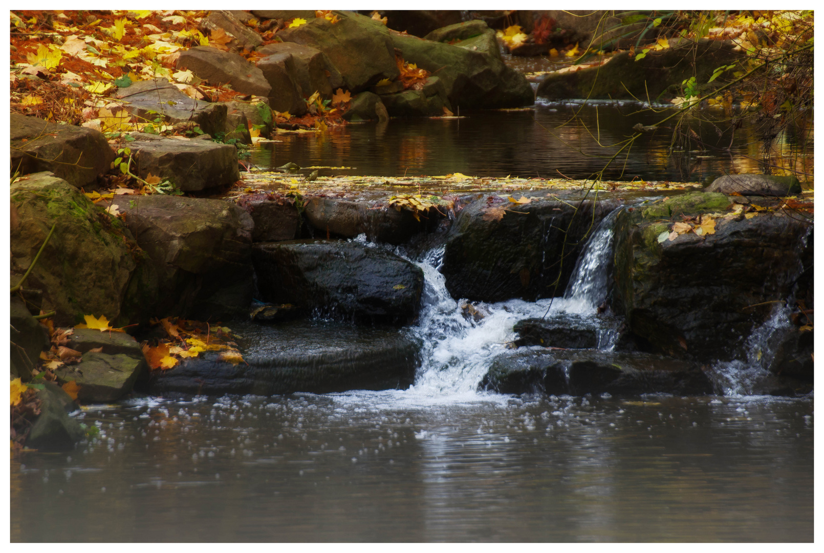 HerbstGedicht