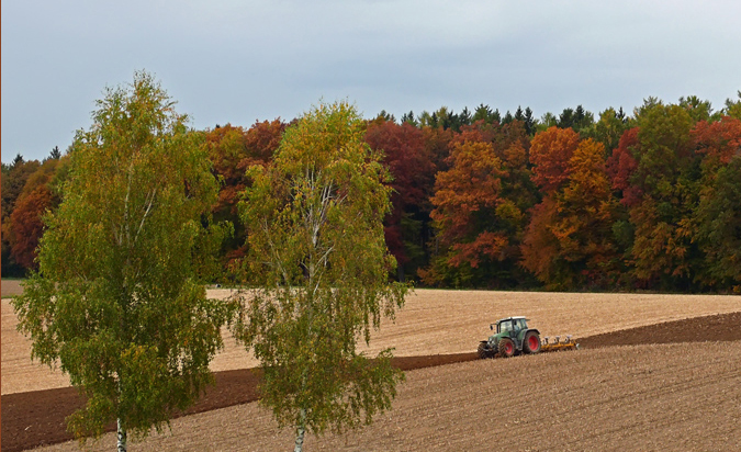 Herbstgedöns ( reload )