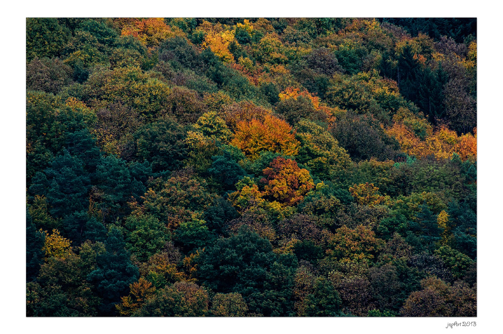 Herbstgedönse...