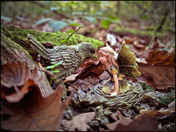 Herbstgeflüster