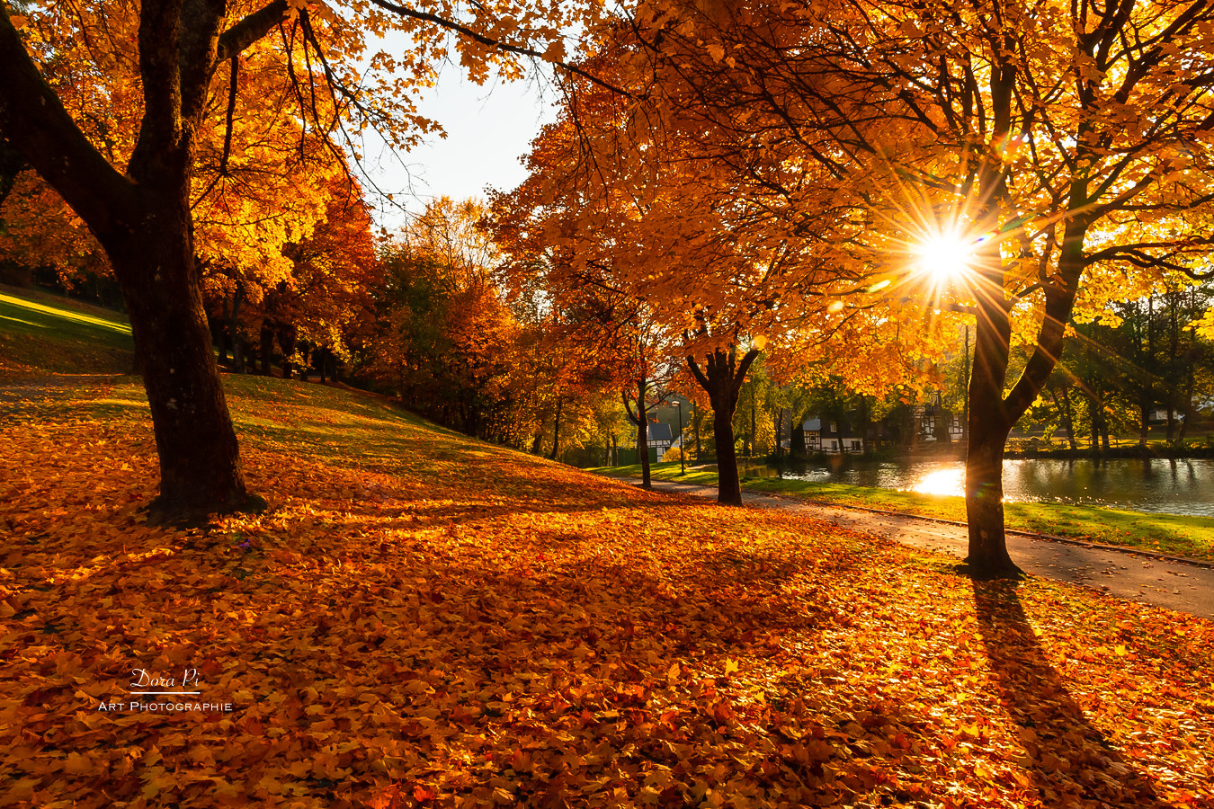 Herbstgeflüster