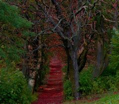 Herbstgeflüster