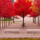 Herbstgeflüster