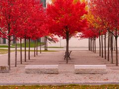 Herbstgeflüster