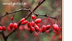 Herbstgeflüster