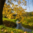 Herbstgeflüster