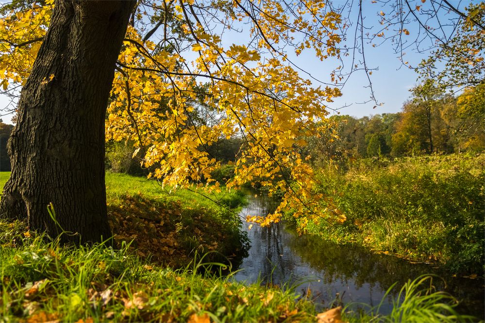 Herbstgeflüster