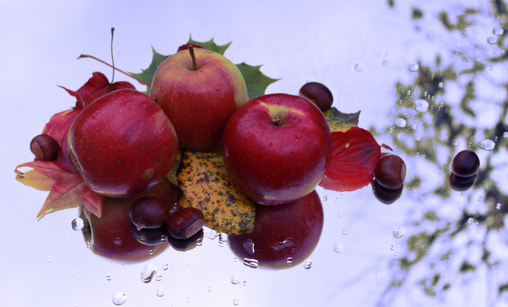 Herbstgeflüster